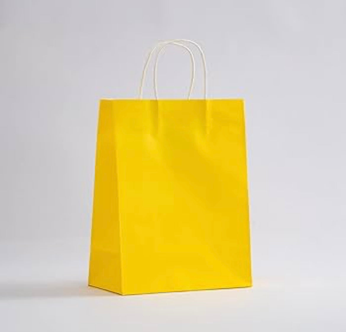 MA356 Paper Gift Bag x 12Pcs