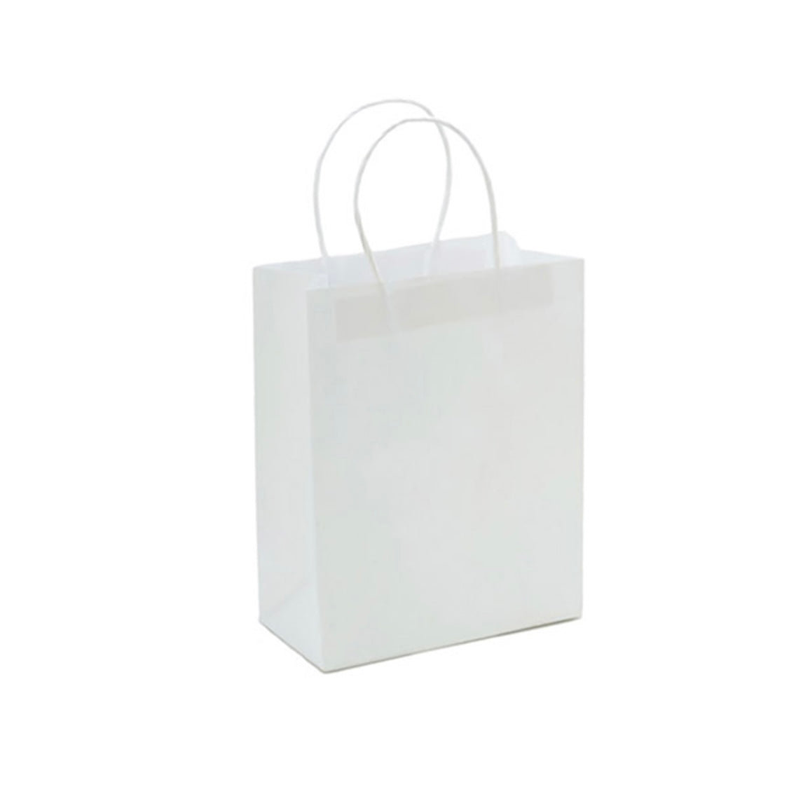 MA356 Paper Gift Bag x 12Pcs