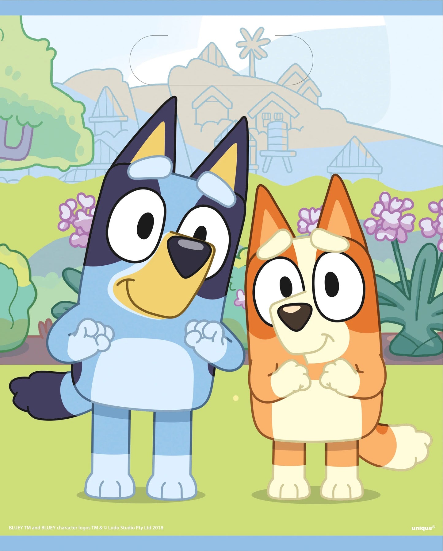 Bluey Loot Bags 8ct