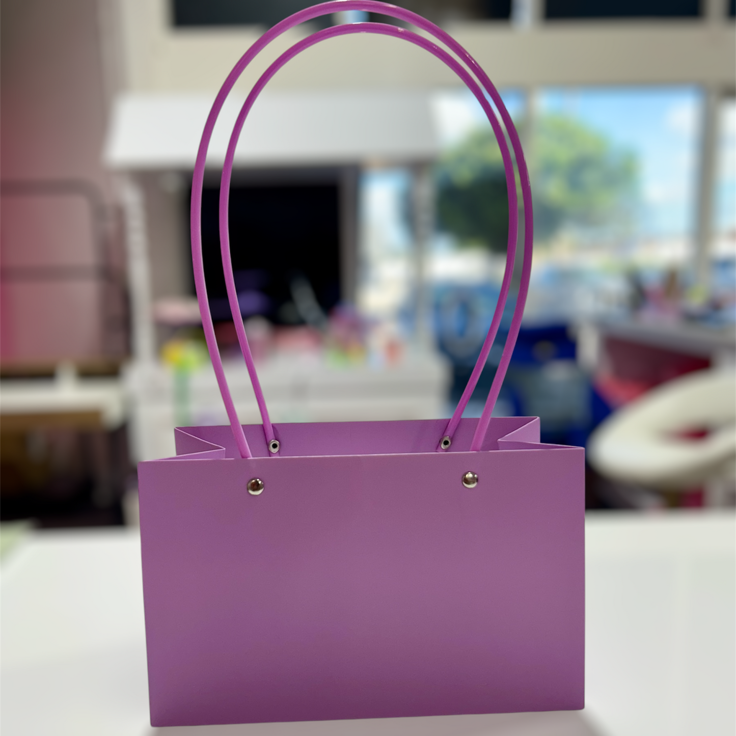 MA100-1 Kraft Paper Bag with Handle x 10 Pcs - Peach