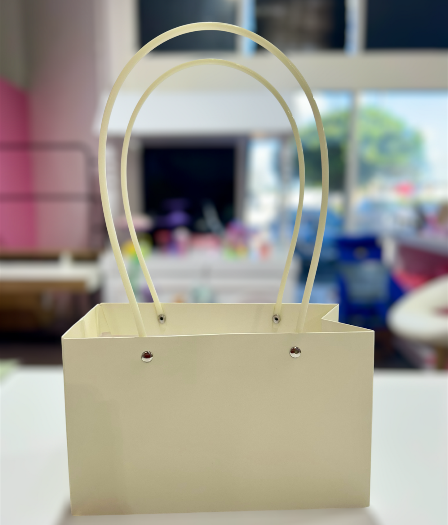 MA100-1 Kraft Paper Bag with Handle x 10 Pcs - Peach