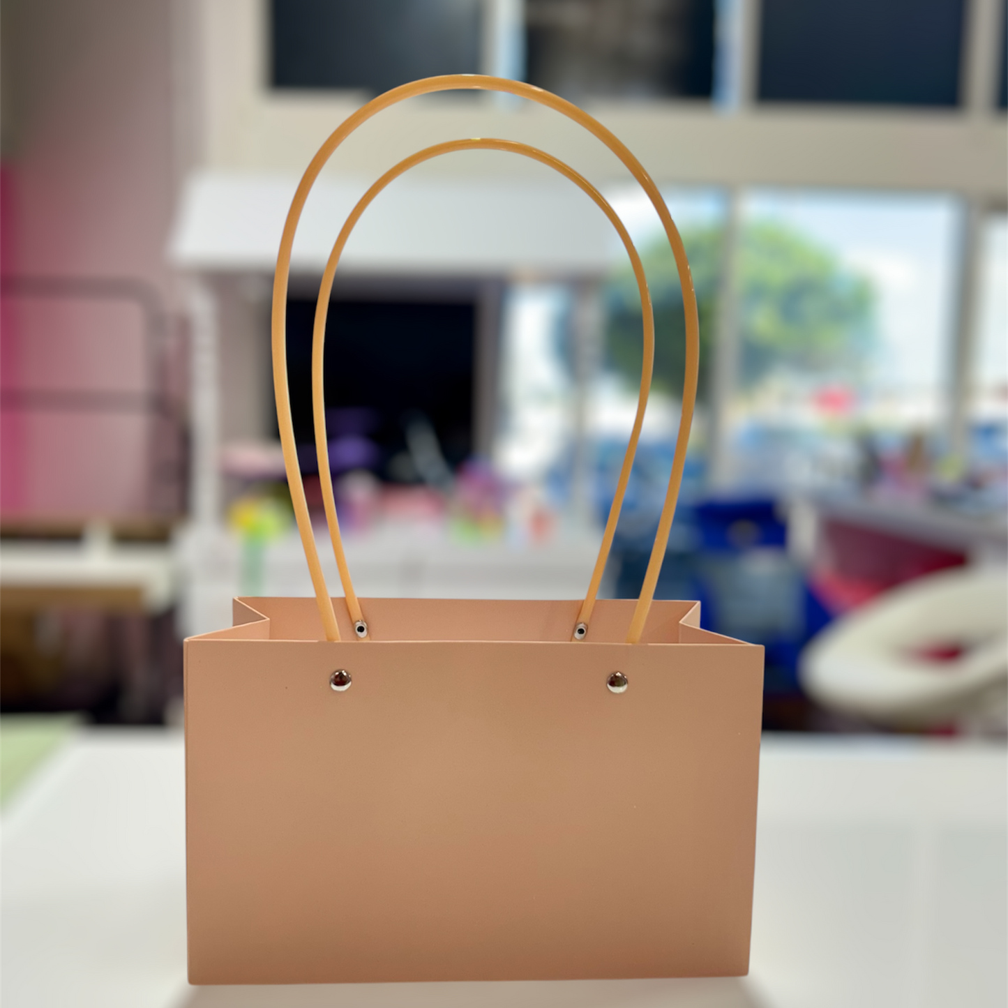 MA100-1 Kraft Paper Bag with Handle x 10 Pcs - Peach