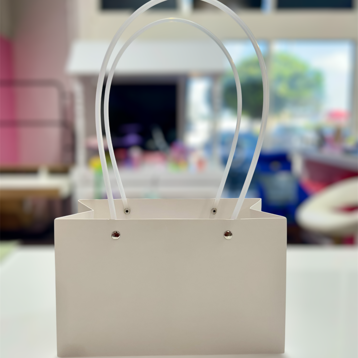 MA100-1 Kraft Paper Bag with Handle x 10 Pcs - Peach
