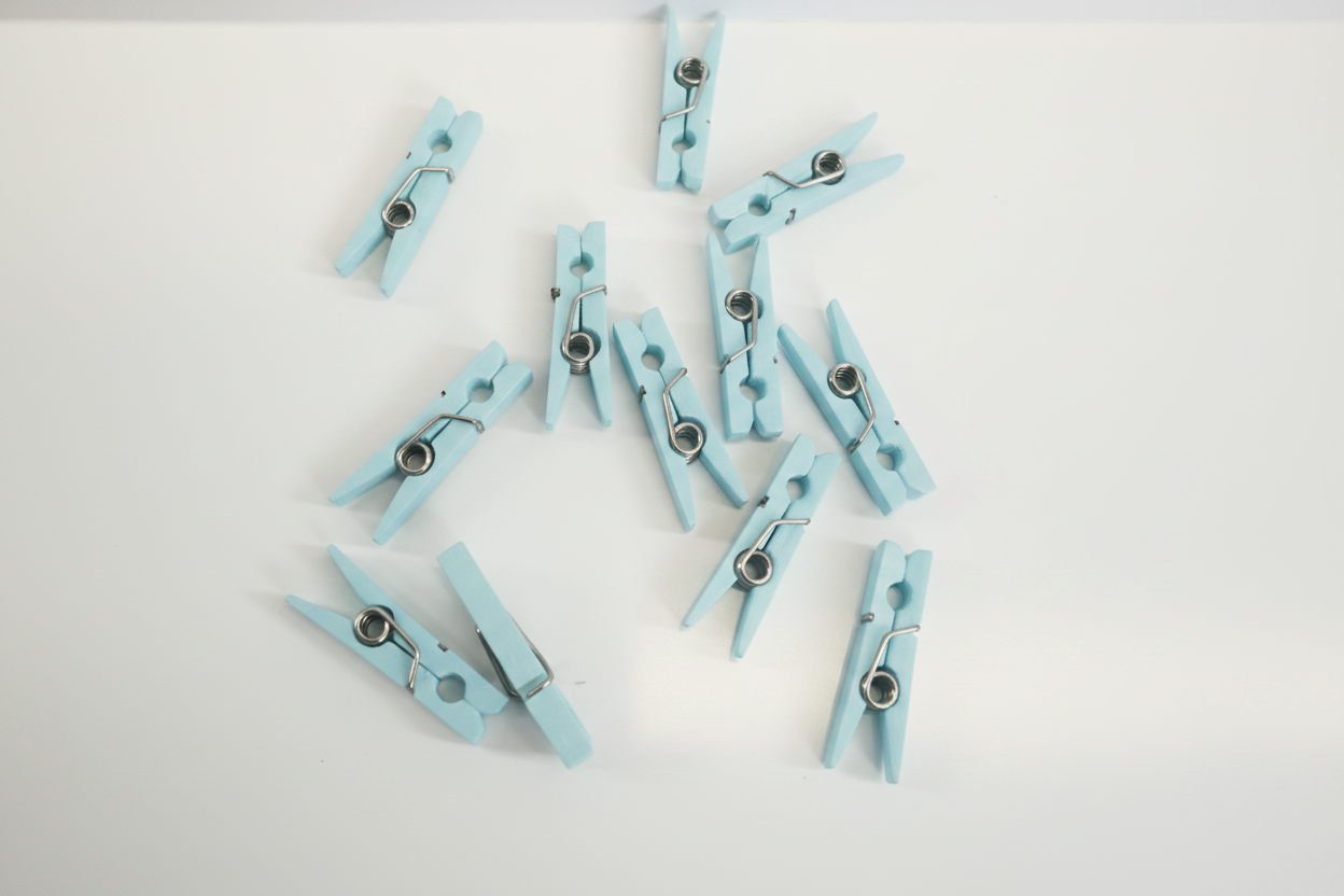 1" Cloth Clip pack of 12