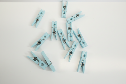 1" Cloth Clip pack of 12