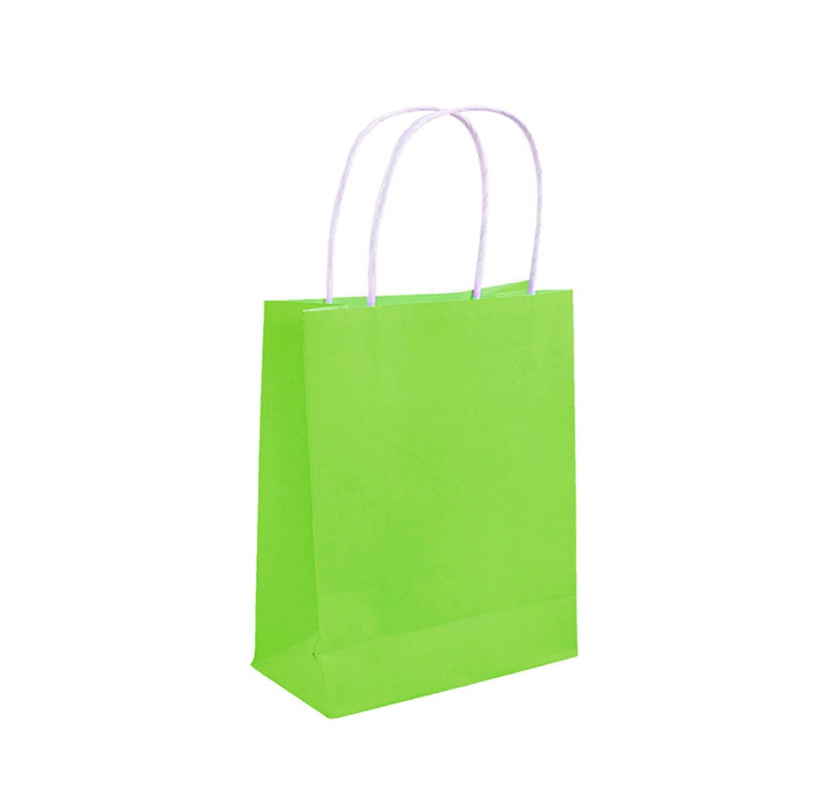 MA356  Paper Gift Bag x 12Pcs