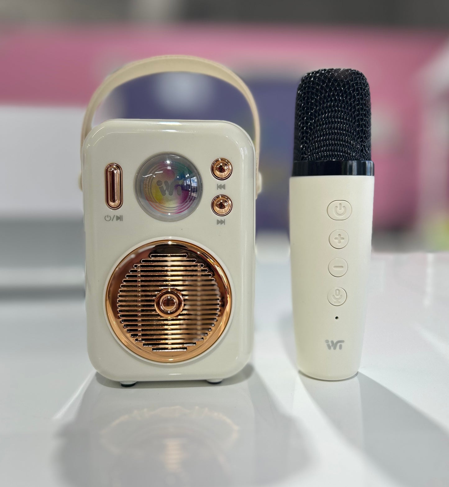 MA098  Karaoke Speaker