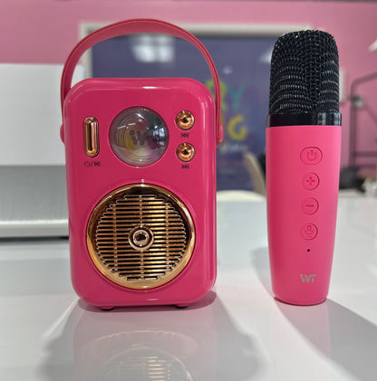 MA098  Karaoke Speaker