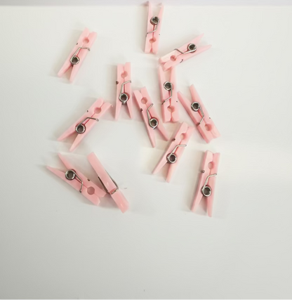 1" Cloth Clip pack of 12