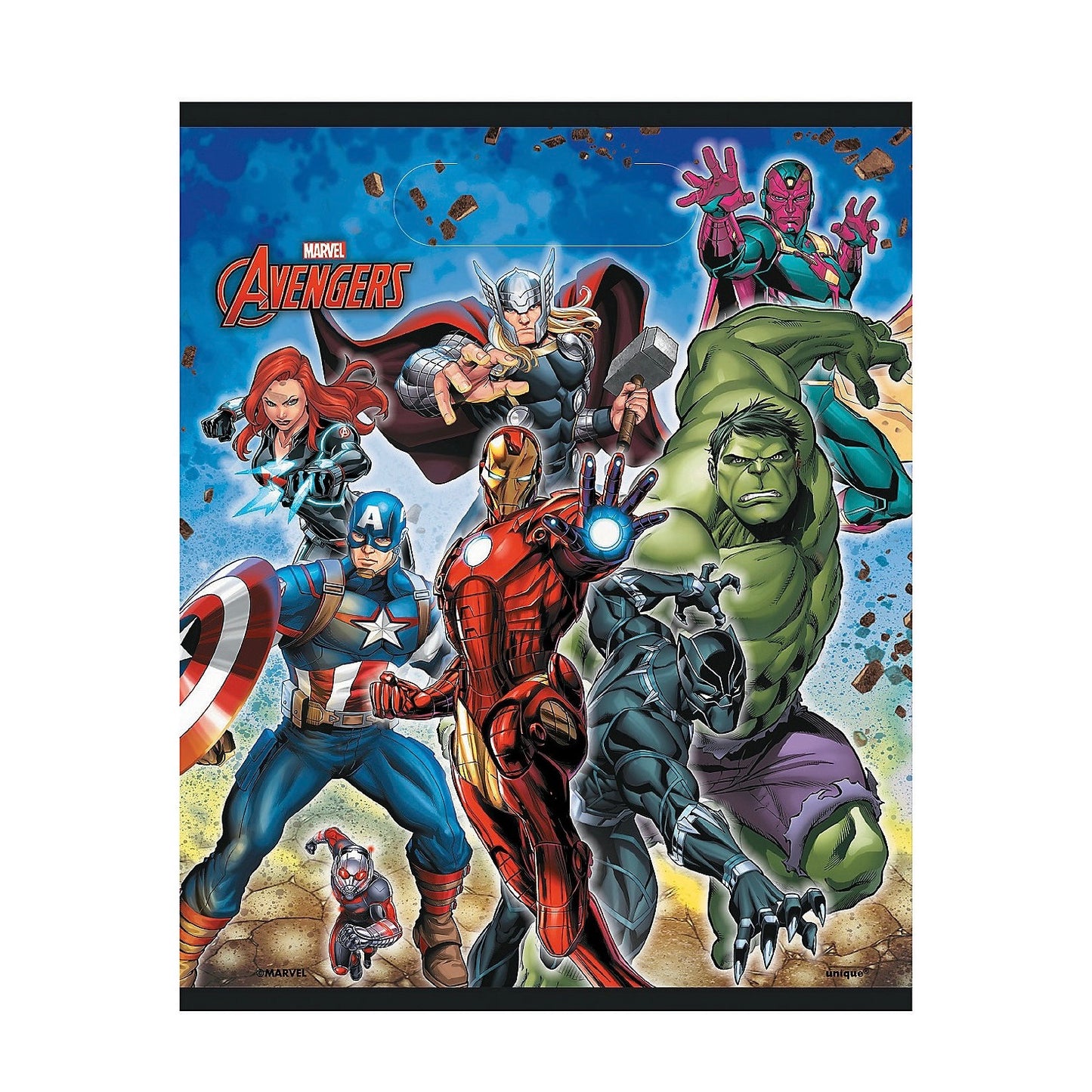 Avengers Loot Bags 8ct